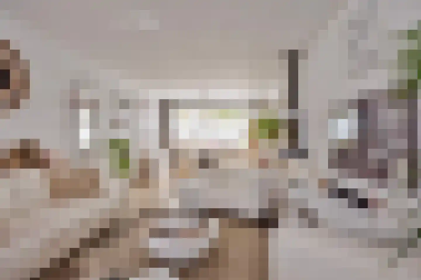 Groene Weide 56 Arnhem thumbnail 10