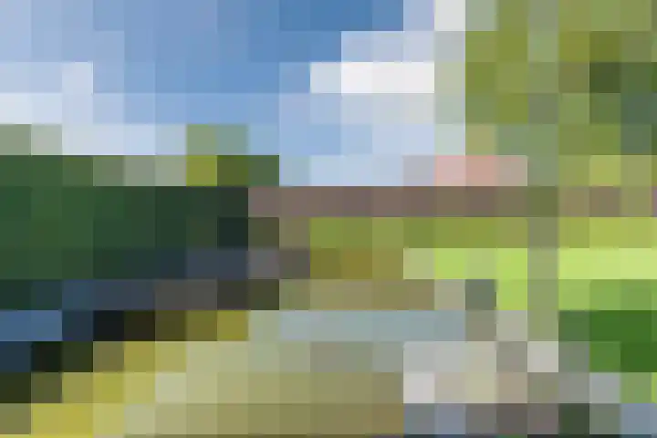 Groene Weide 56 Arnhem thumbnail 12