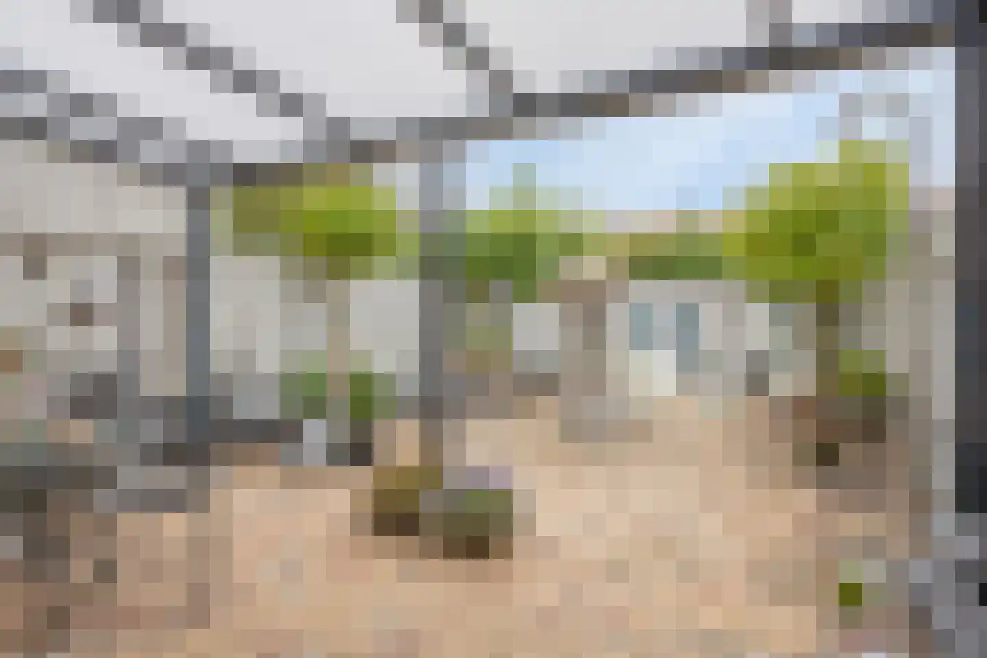 Groene Weide 56 Arnhem thumbnail 15
