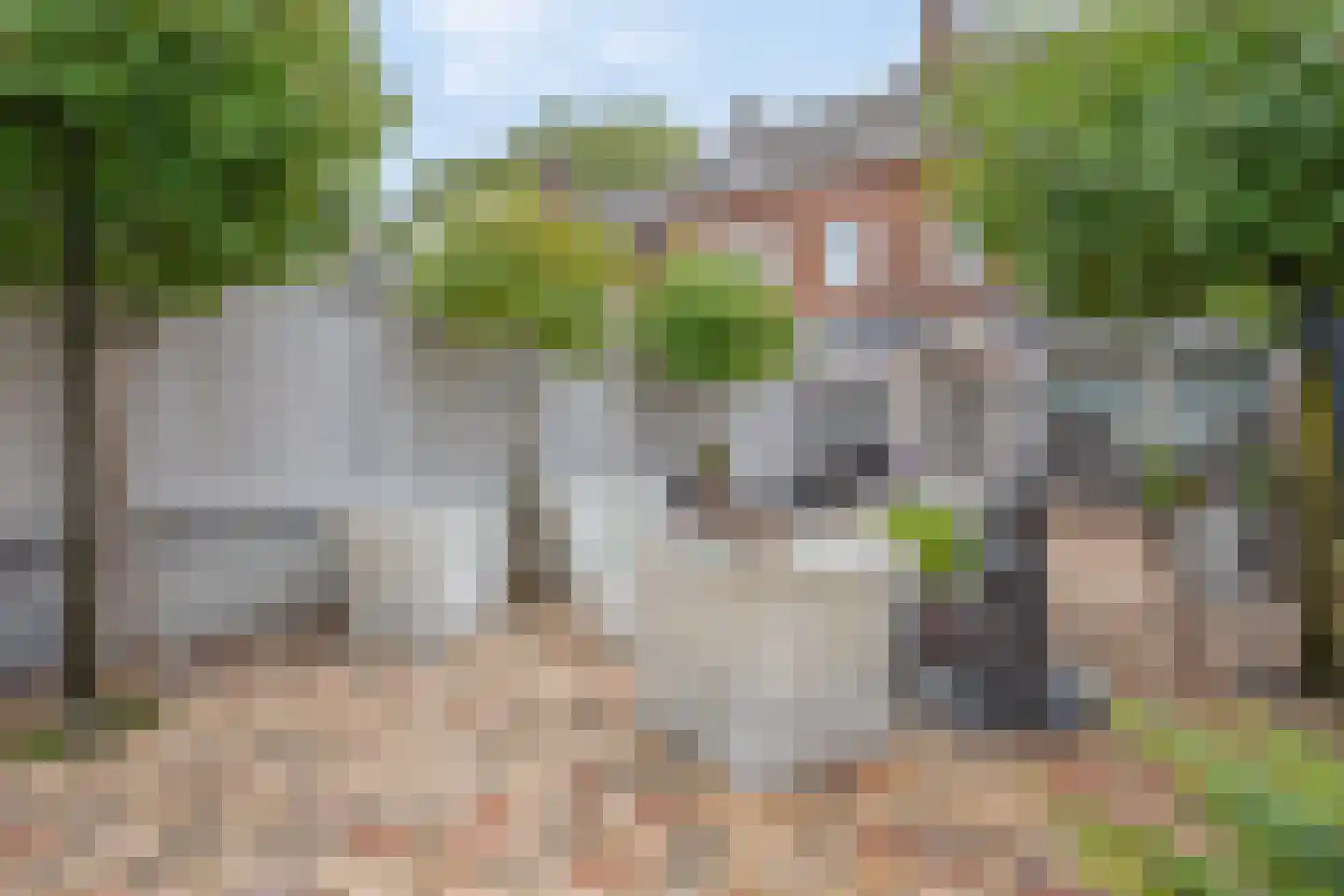 Groene Weide 56 Arnhem thumbnail 23