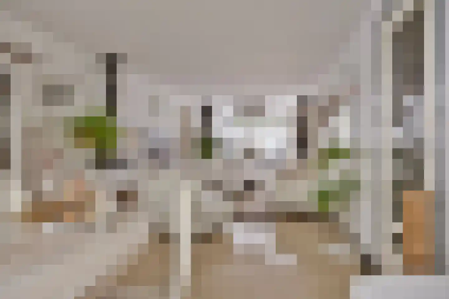 Groene Weide 56 Arnhem thumbnail 4