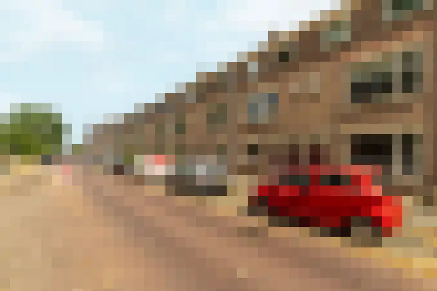 Groene Weide 69 Arnhem thumbnail 32