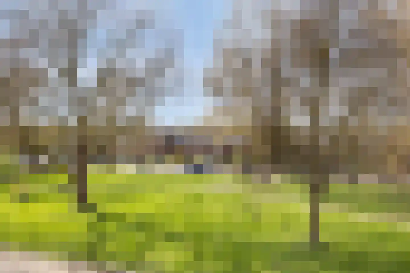 Groene Weide 77 Arnhem thumbnail 32