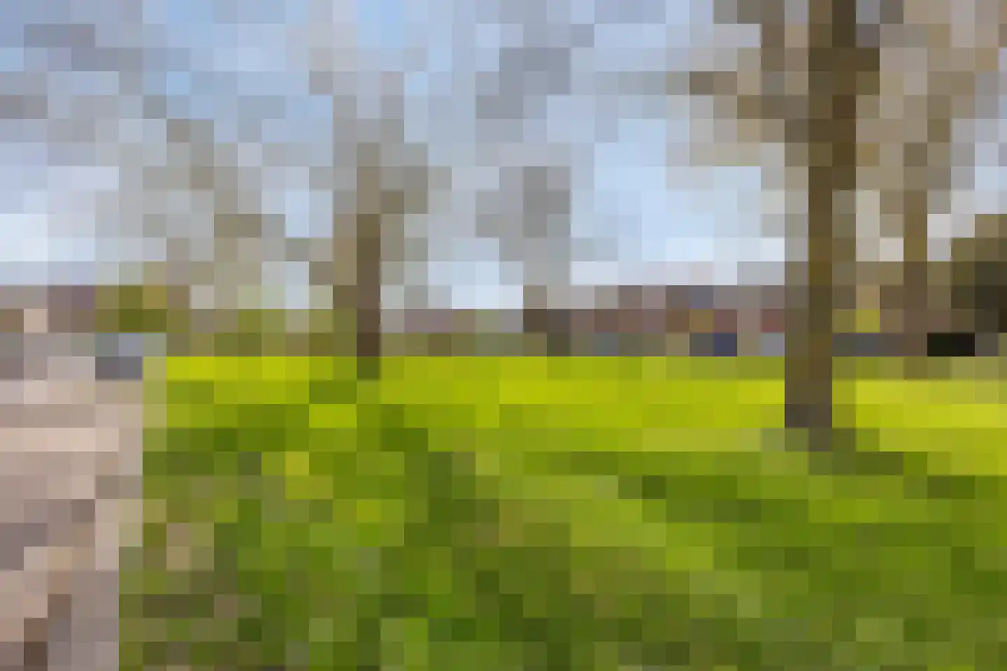 Groene Weide 77 Arnhem thumbnail 33