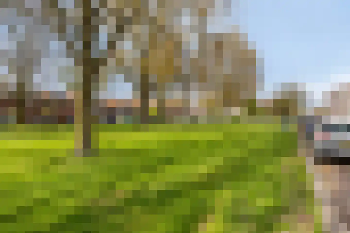 Groene Weide 77 Arnhem thumbnail 34