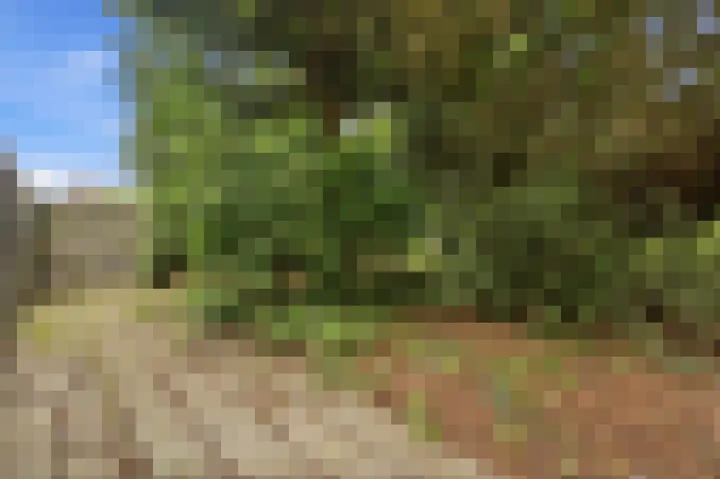 Groene Weide 81 Arnhem thumbnail 27