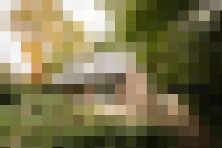 Groene Wetering 24 Rotterdam thumbnail 35