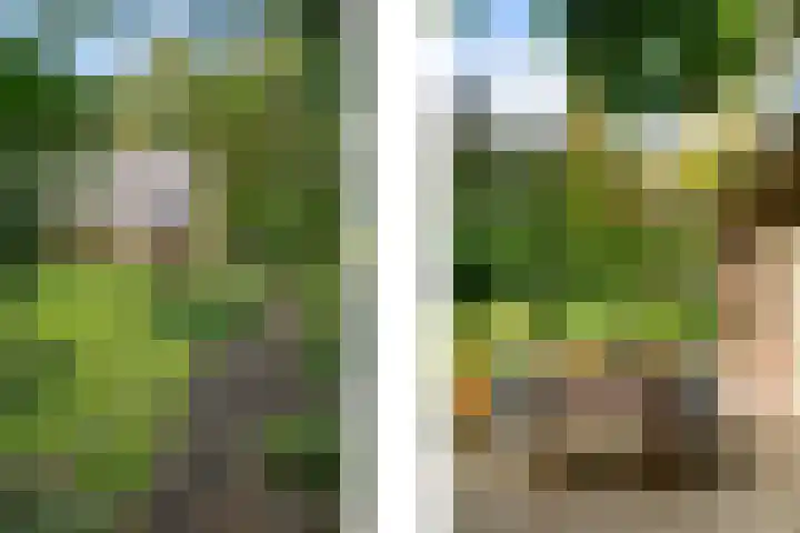 Groene Wetering 24 Rotterdam thumbnail 36