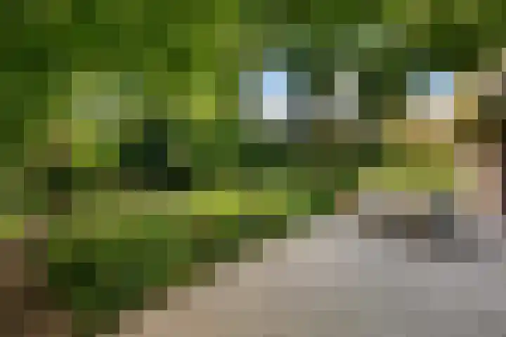 Groene Wetering 24 Rotterdam thumbnail 37