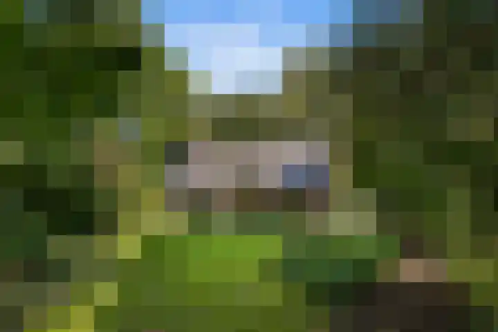 Groene Wetering 24 Rotterdam thumbnail 38