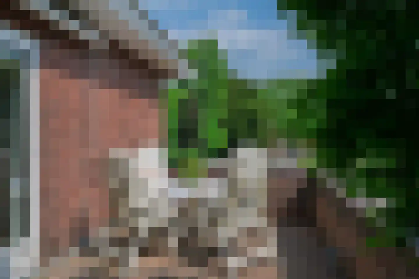 Groene Wetering 7 Rotterdam thumbnail 19