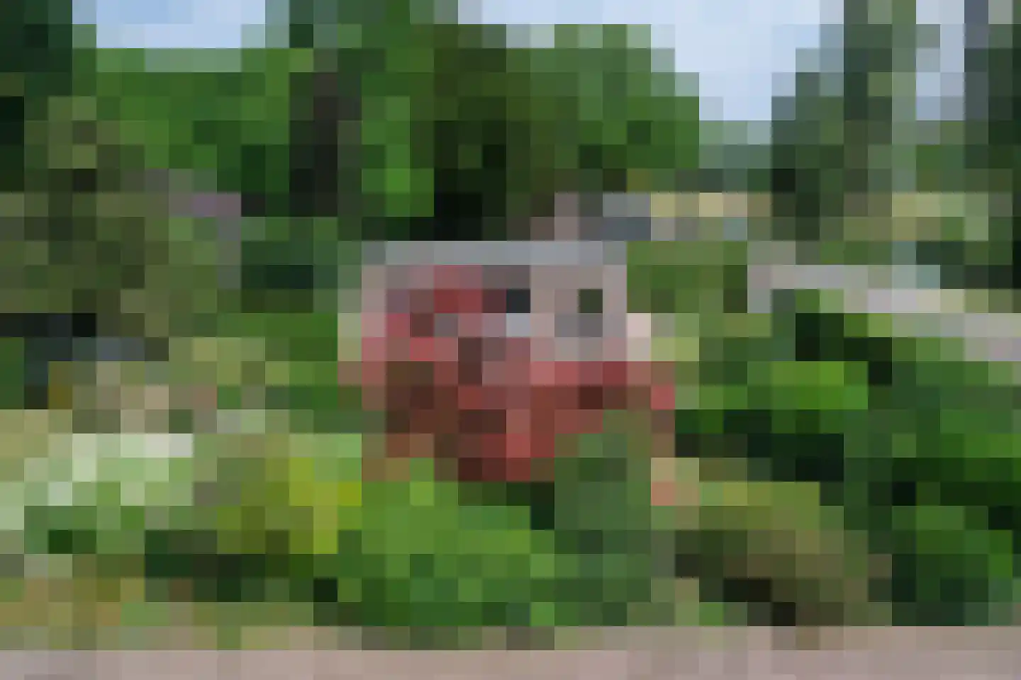Groene Wetering 7 Rotterdam thumbnail 21