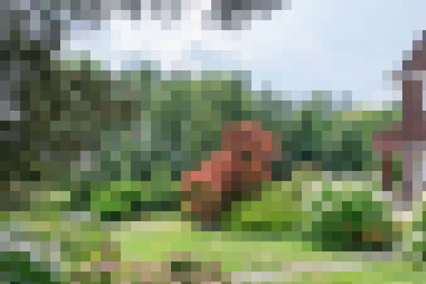 Groene Wetering 7 Rotterdam thumbnail 43