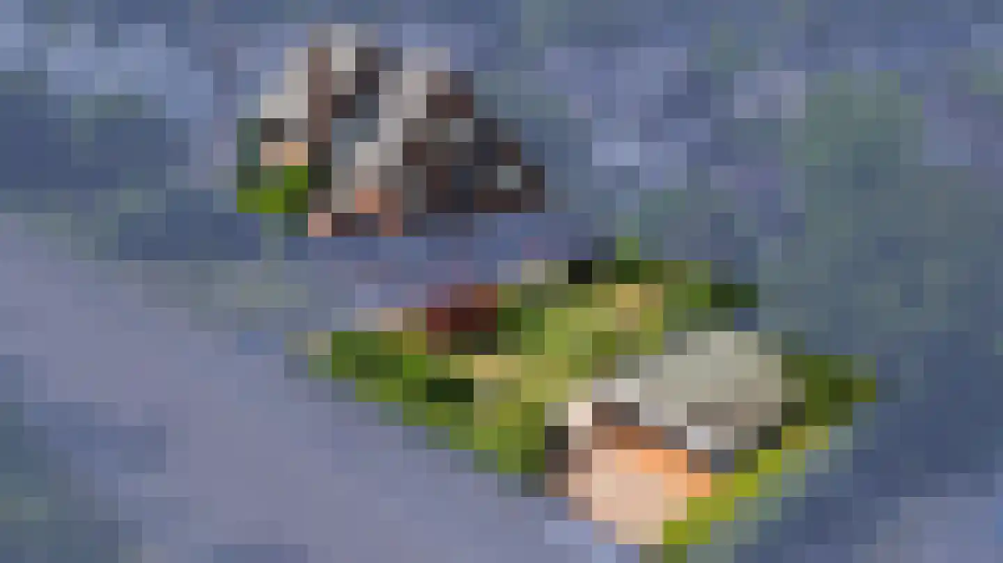 Groene Wetering 7 Rotterdam thumbnail 48