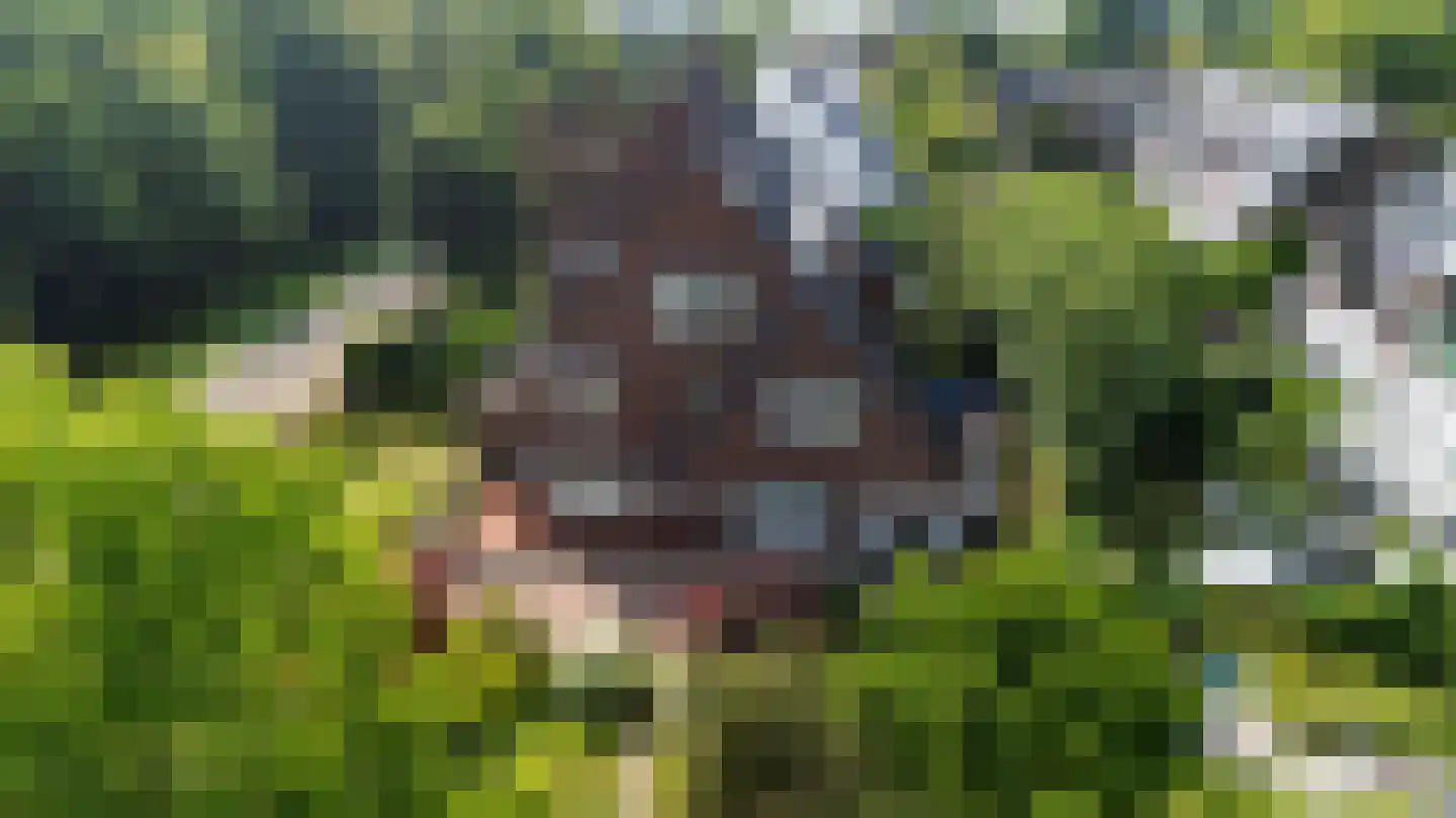 Groene Wetering 7 Rotterdam thumbnail 6