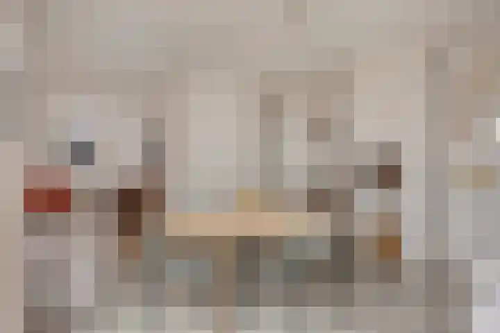 Groene woud 1 F Herpt thumbnail 12