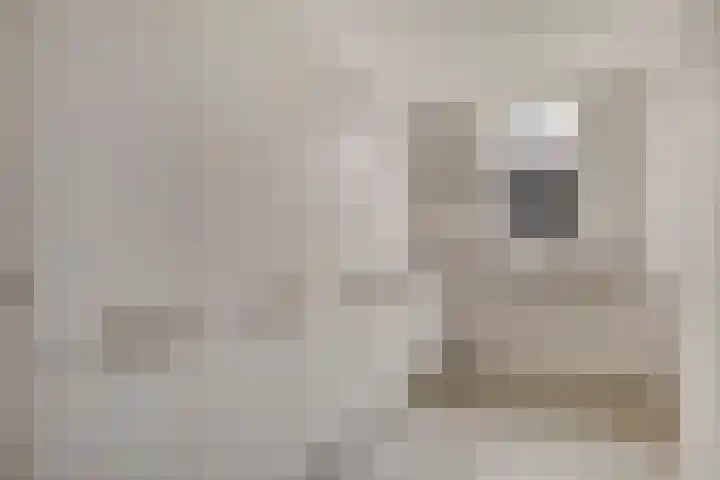 Groene woud 1 F Herpt thumbnail 20