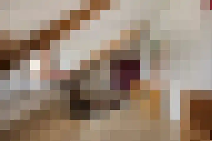Groene woud 1 F Herpt thumbnail 28