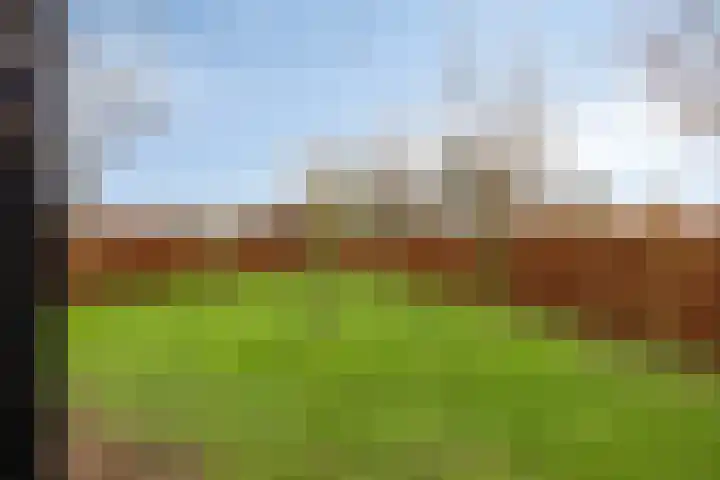 Groene woud 1 F Herpt thumbnail 36