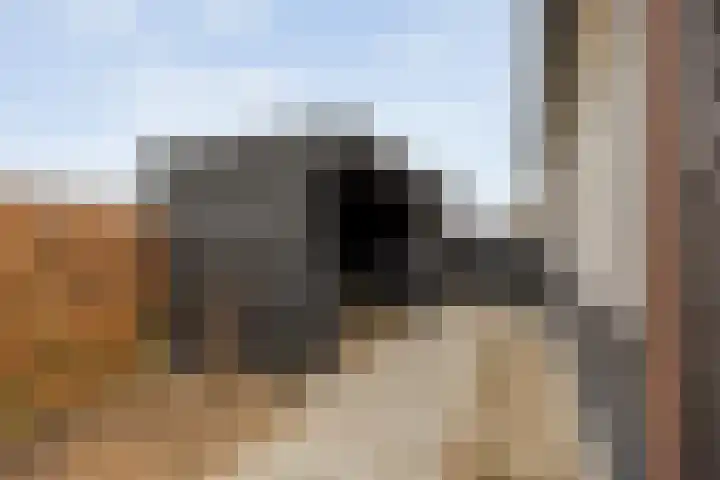 Groene woud 1 F Herpt thumbnail 38