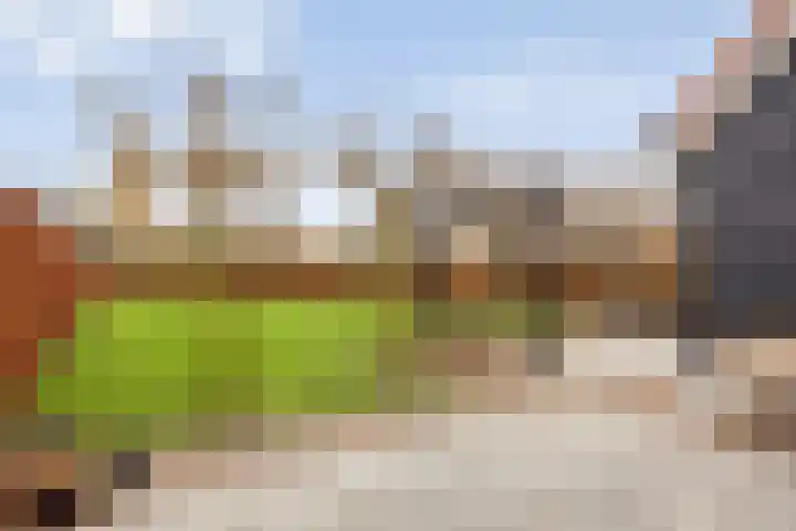 Groene woud 1 F Herpt thumbnail 4