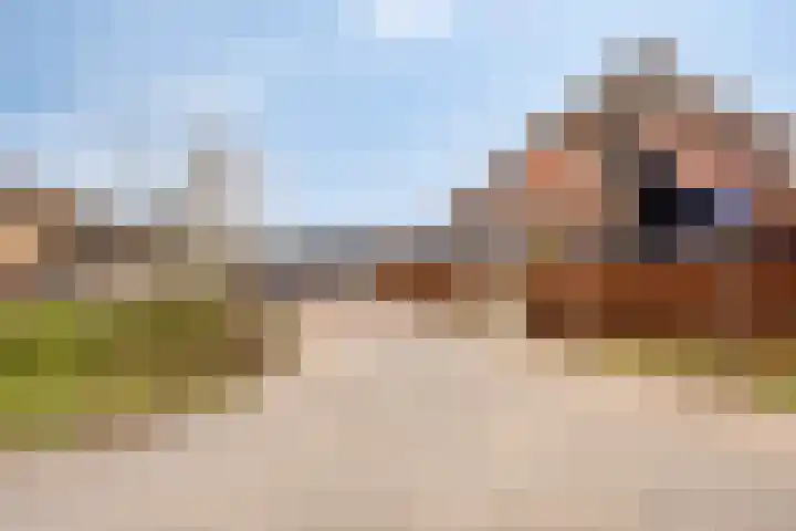 Groene woud 1 F Herpt thumbnail 40