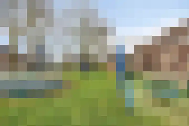 Groene woud 1 F Herpt thumbnail 41