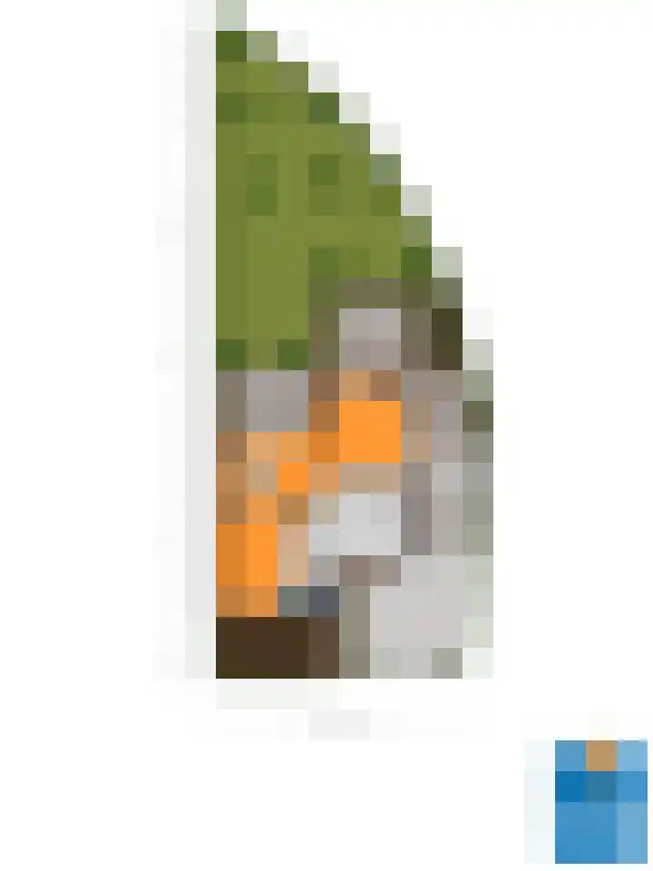 Groene woud 1 F Herpt thumbnail 46