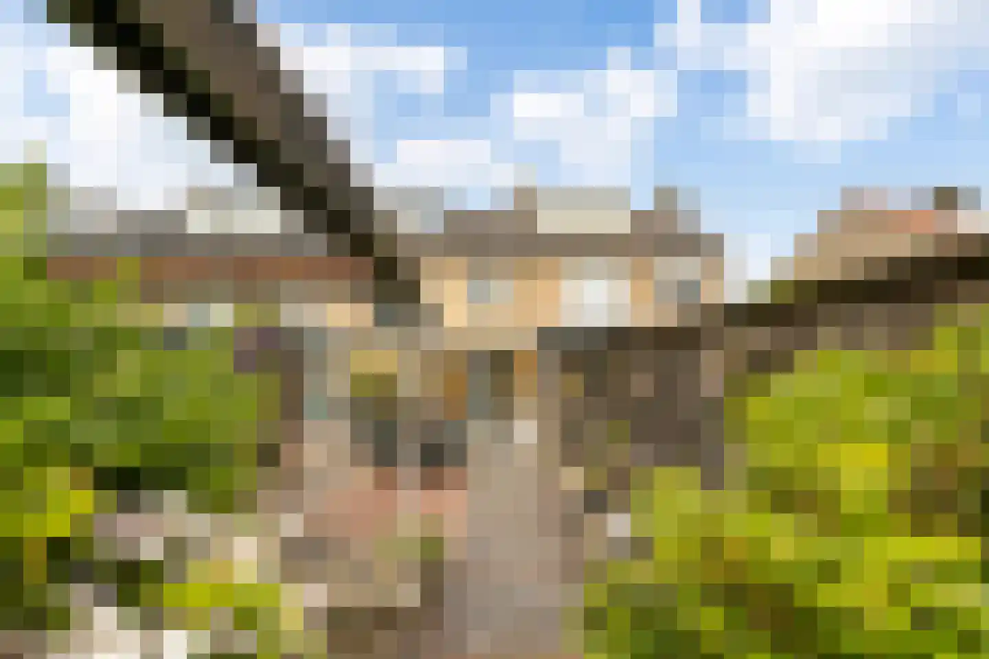 Groene Woud 102 Breda thumbnail 28