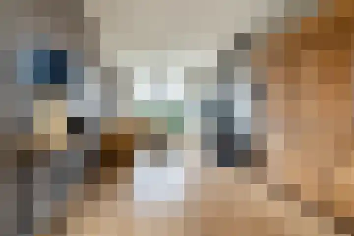 Groene Woud 118 Breda thumbnail 15
