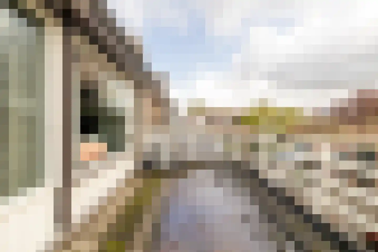 Groene Woud 118 Breda thumbnail 25