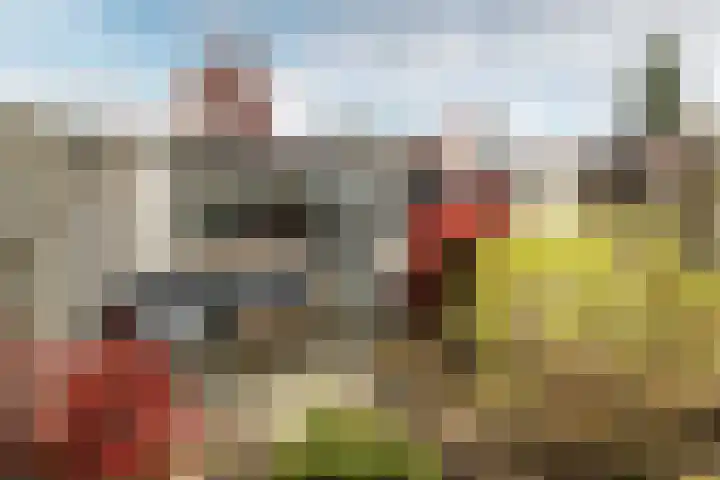 Groene Woud 118 Breda thumbnail 34