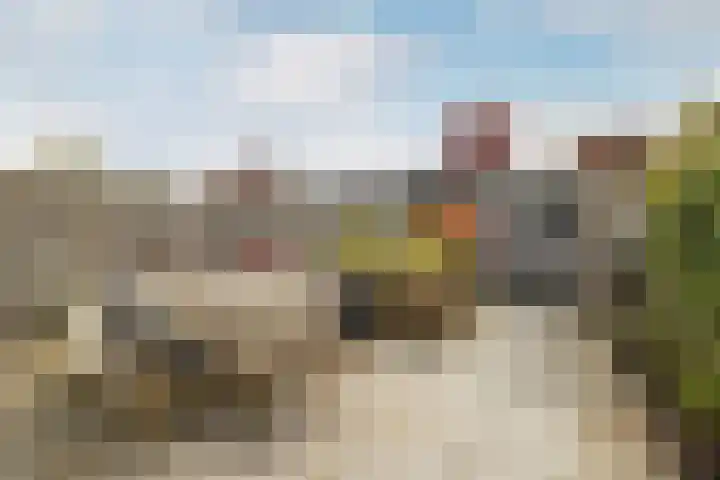 Groene Woud 118 Breda thumbnail 4