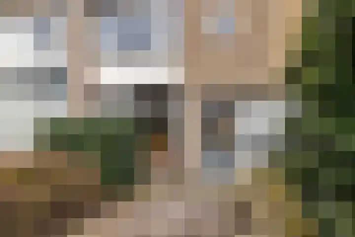 Groene Woud 118 Breda thumbnail 6
