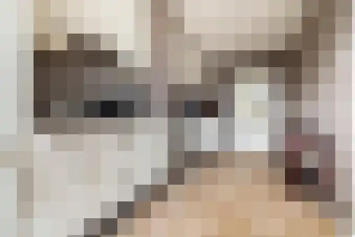Groene Woud 118 Breda thumbnail 8