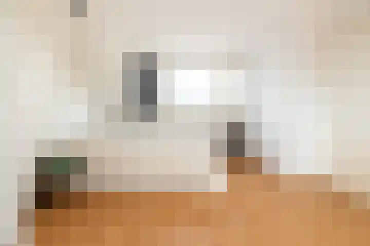Groene Woud 13 Breda thumbnail 21