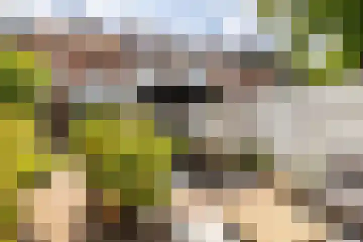 Groene Woud 13 Breda thumbnail 24