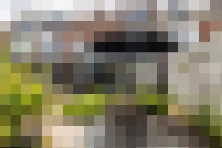 Groene Woud 13 Breda thumbnail 25