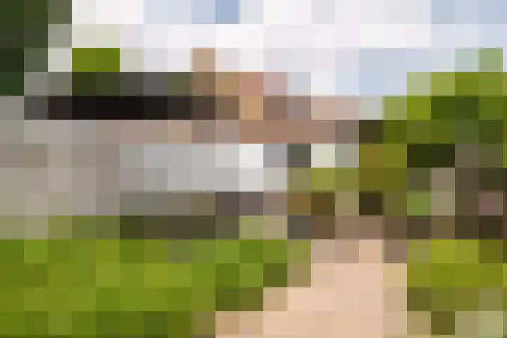 Groene Woud 13 Breda thumbnail 26