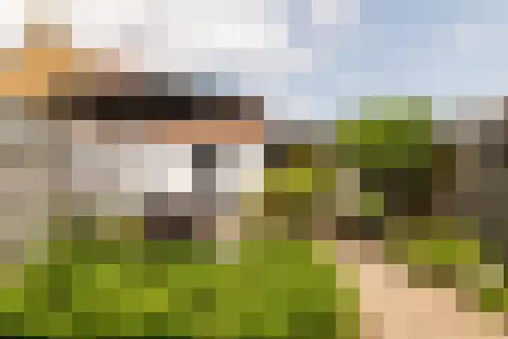 Groene Woud 13 Breda thumbnail 27