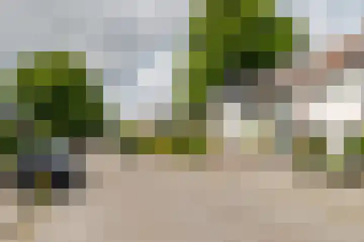 Groene Woud 13 Breda thumbnail 29