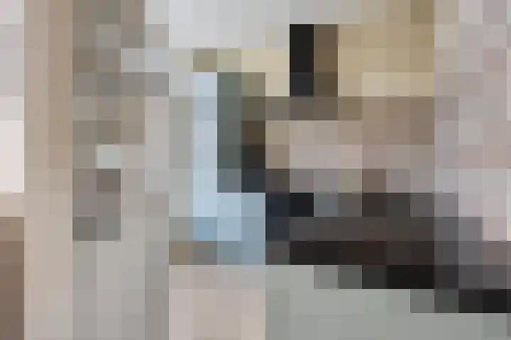 Groene Woud 130 Breda thumbnail 13