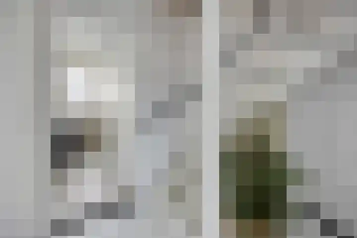 Groene Woud 130 Breda thumbnail 17