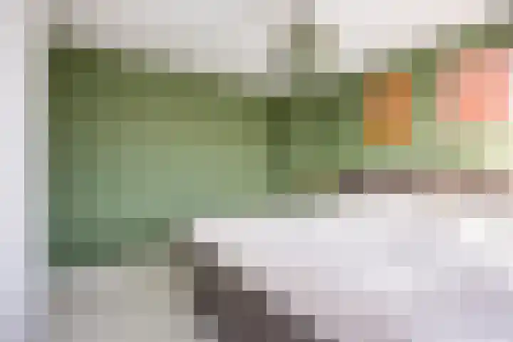 Groene Woud 130 Breda thumbnail 19