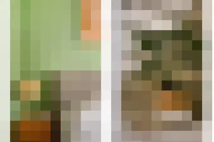 Groene Woud 130 Breda thumbnail 21