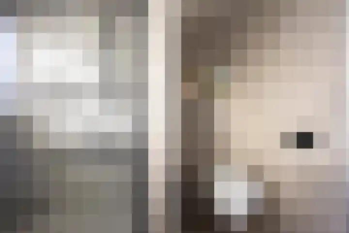 Groene Woud 130 Breda thumbnail 22