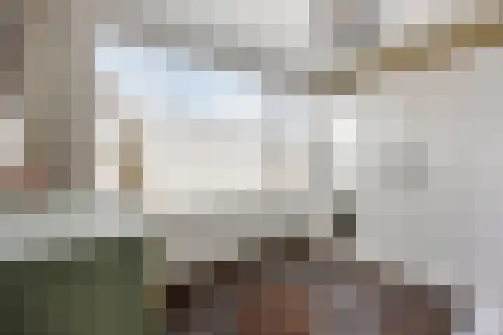 Groene Woud 130 Breda thumbnail 28