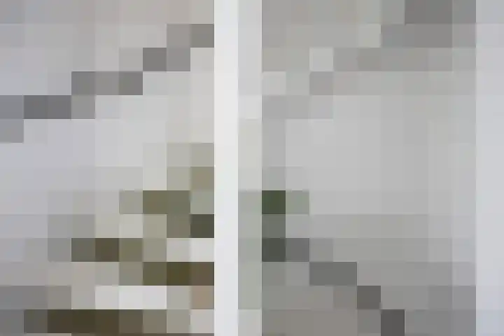 Groene Woud 130 Breda thumbnail 31