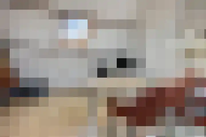 Groene Woud 130 Breda thumbnail 33