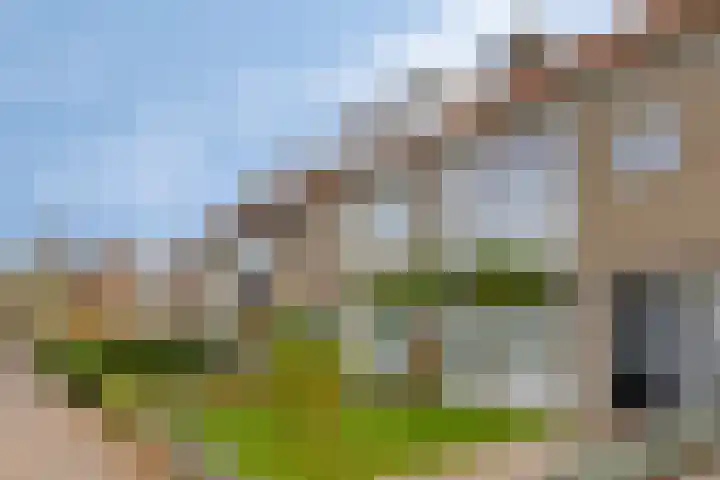 Groene Woud 130 Breda thumbnail 36